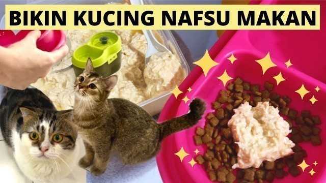 'CARA MEMBUAT MAKANAN KUCING (RAW FOOD AYAM) DIRUMAH !! KUCING AUTO GEMBUL'