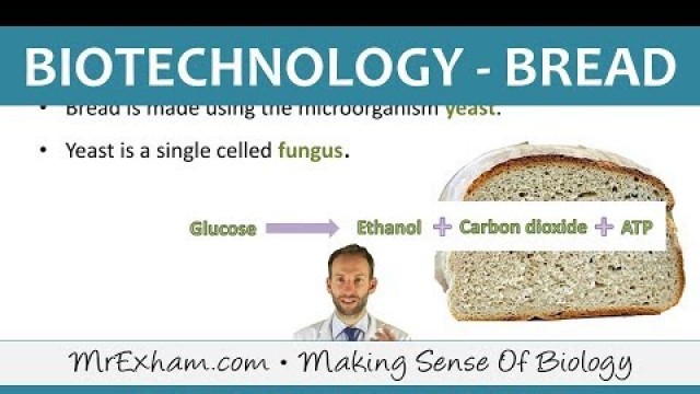 'Food Production - Biotechnology - Bread - GCSE Biology (9-1)'