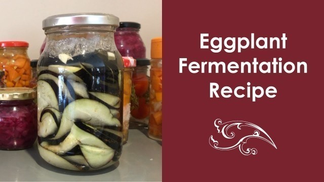 'Ferment eggplant: Eggplant recipe for tasty dish. Aubergine fermentation process [Fermented foods]'