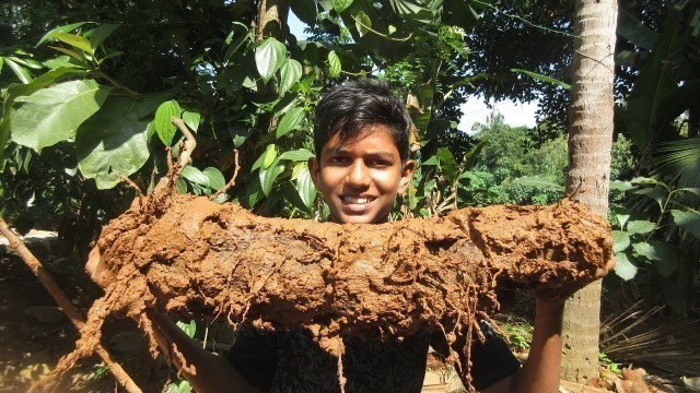 'Village food factory /kavathu kilangu fire fry Cooking by my Family in my village / village cooking'