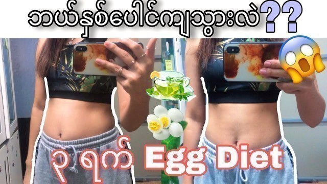 '၃ ရက် \"Egg Diet\" လုပ်ပြီးနောက် ဘယ်နှစ်ပေါင်ကျသွားလဲ???