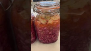 'Fermentation - gut food importance for healthy body'