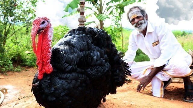 'YUMMY!!! TURKEY Gravy prepared by my Daddy Arumugam / Village food factory'