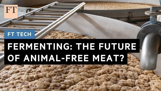 'Fermenting: the future of animal-free meat?  | FT Tech'