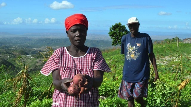 'Improving Livelihoods and Access to Food in Northwest Haiti'