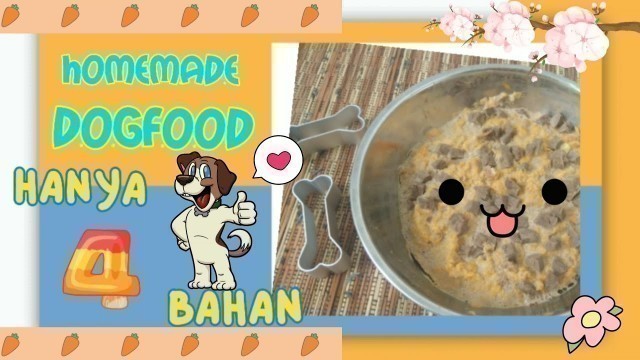 'Homemade Dog food hanya 4 bahan | Dijamin suka dan lahap Cute little Paws'