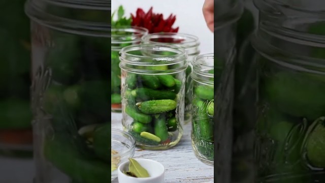 'Homemade Fermented Dill Keto Pickles'