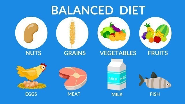 'Balanced Diet || Best food for health'