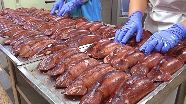 '오징어순대 Mass production! Squid Sausage (Squid Sundae) Making Process - Korean food factory'