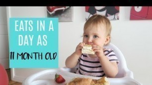 'WHAT MY BABY EATS IN A DAY | 11 MONTHS OLD'