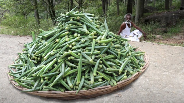 'LADY FINGER !!! With EGG prepared by my daddy Arumugam / Lady finger Podimas / Village food factory'