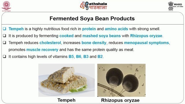 'Fermented Soya based Foods'