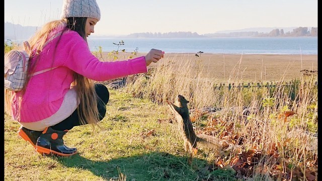 'Hungry squirrels are stealing food from The Protsenko Family'