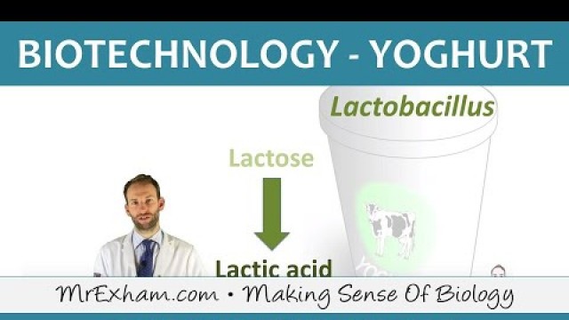 'Food Production - Biotechnology - Yoghurt Production - GCSE Biology (9-1)'