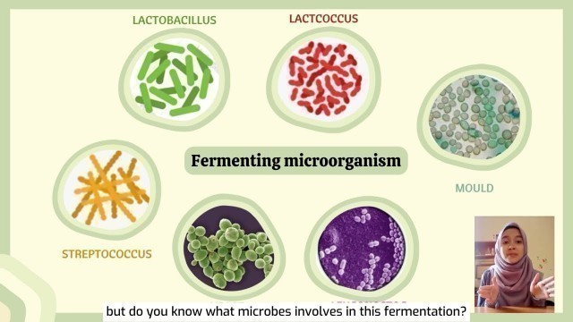 'PHARMACEUTICAL MICROBIOLOGY & STERILE PREPARATIONS: Microbial fermentation in food products'