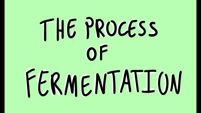 'Food Science: The Process of Fermentation'