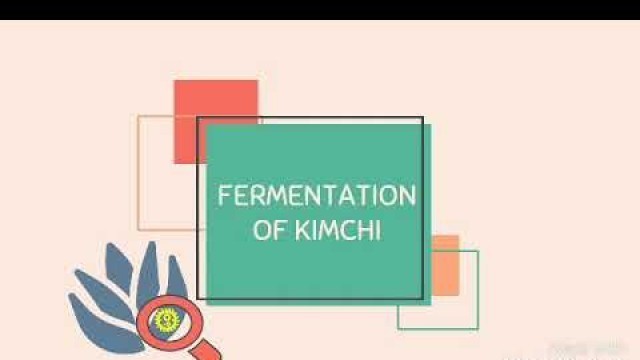 'Food Preservation | Fermentation of Kimchi'