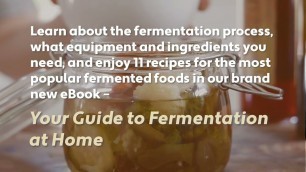 'Haelan\'s Guide to Fermentation'