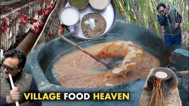 'Maturam Ki Jalebi Gohana | Gaon Ka Khana | Village Food Cooking | Poultry Farming | Jaggery Making'