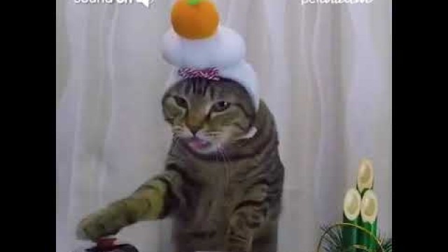 'Cat\'s are wearing mandrian cake hats and ringing bells for for food order.'