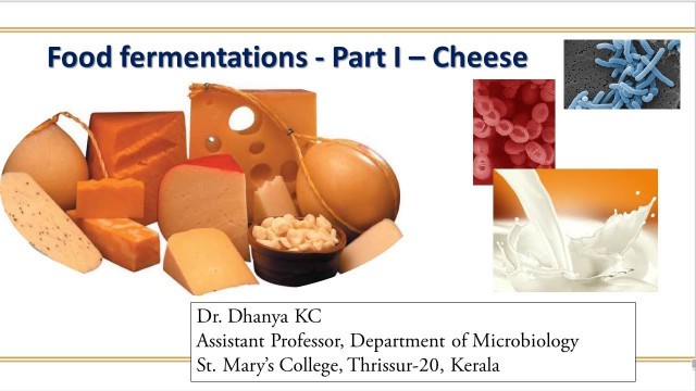 'Food fermentations - Part I - Cheese Fermentation'