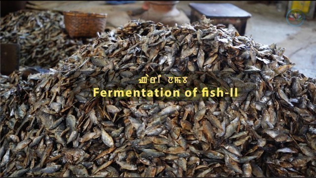 'How is fish fermented? What is Dry Fish | Ngari | Making Shidol | Hidol | Fermentation Process'