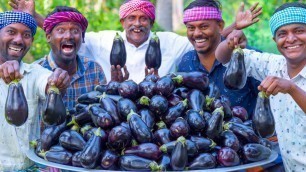 'BIG BRINJAL | Fried Baingan Recipe | Brinjal Tawa Fry Recipe Cooking in Village | Eggplant Recipe'