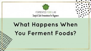 'What happens when you ferment foods?'