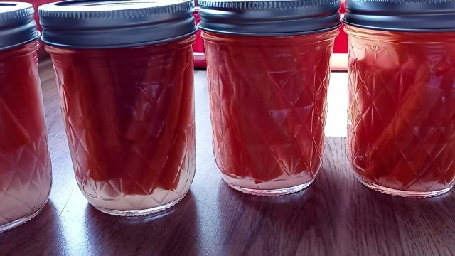 'Lacto-Fermentation Follow-Up: 5 Days Into the Process'