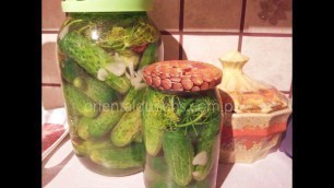 'CUCUMBER PICKLES European traditional living food fermented food Lacto Fermentation'