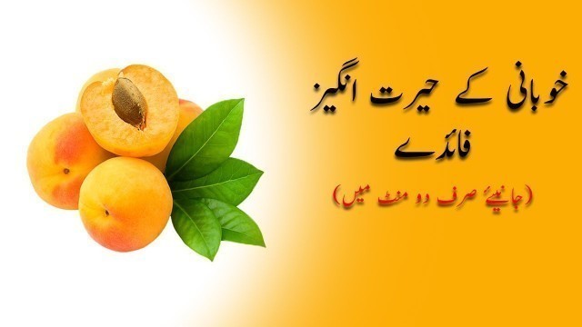 'Khobani khane ke fayde | Benefits of eating apricot | Urdu/Hindi | My Foodbook'