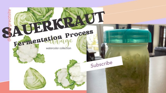 'Fermentation fun! Let’s make sauerkraut! Grab your cabbage! ￼'