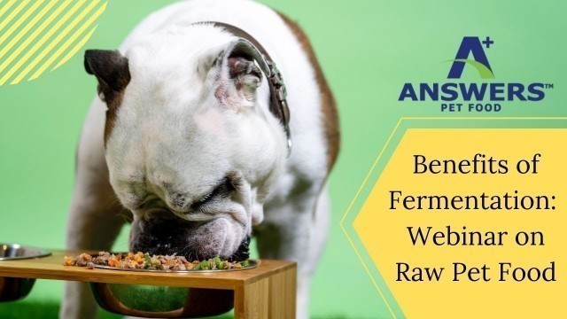 'Benefits of Fermentation: ​​​​​​​Webinar on Raw Pet Food'