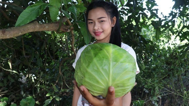 'Awesome Cooking Boiled Pork In Cabbage Delicious Recipe - Cook Cabbage - Village Food Factory'