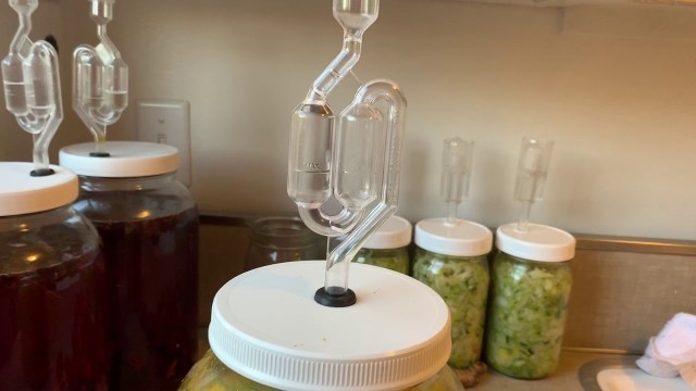 'Comorbidities Reversed Successful Fermentation Batch'