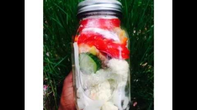 'Lacto Fermentation'