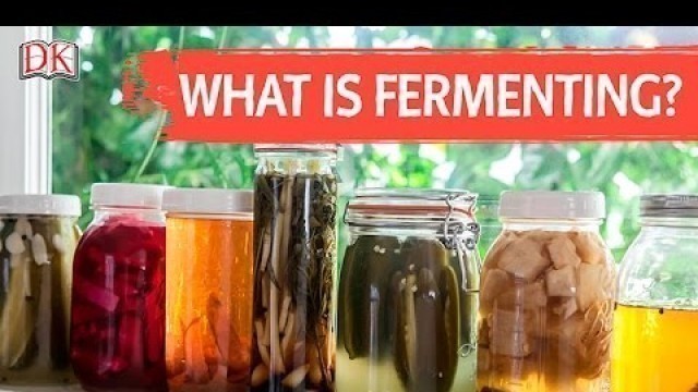 'What is Fermenting?'