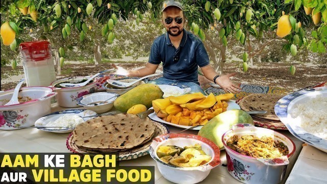 'Mango Farms & Village Food in Sindh | Sarso ka Saag, Chawal ki Roti | Mango Harvesting in Pakistan'