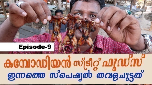 'STREET FOODS IN CAMBODIA, VILLAGE FOOD & FROG BBQ | Cambodia travel videos | Harees Ameer Ali'