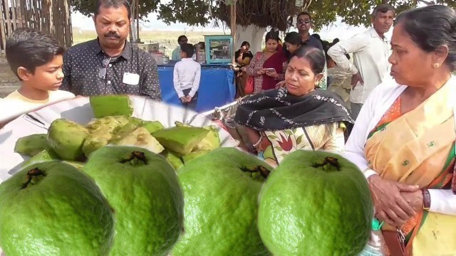 'Pyara ( Spicy Guava ) Chaat | Healthy & Tasty Street Food Village | Street Food India'