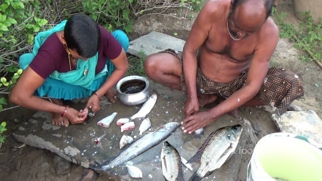 'Village Style Yummy Fish Curry in Couples | Street Food Catalog | Food Info | Village Food Factory'