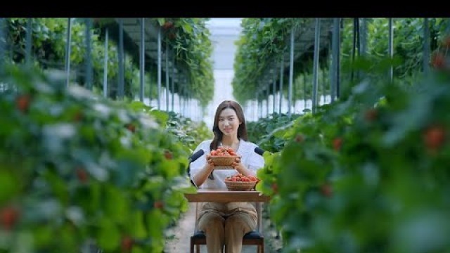 'K-FOOD STRAWBERRY | The Taste of Wonder \'K-FOOD\' | ASMR | KOREAN FOOD'