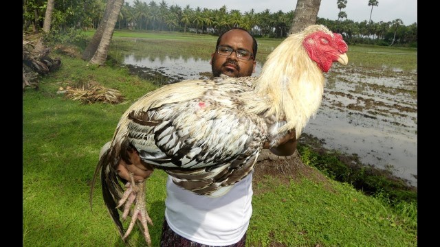 '#Full Country Chicken Curry Cooking in My Village | Village Style Chicken Recipe street food'