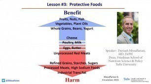 'Protective Foods | Dariush Mozaffarian, MD'