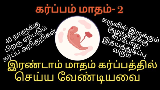 '2nd month of pregnancy baby growth in tamil | pregnancy symptoms in tamil  | pregnancy tips in tamil'