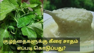 'How to introduce keerai/spinach to your baby?/கீரை சாதம்  குழந்தைக்கு எந்த மாதத்தில் எப்படிகொடுப்பது'