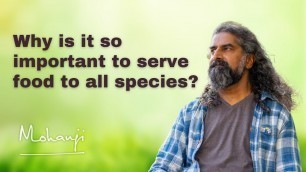 'Why is it so important to serve food to all species? I Mohanji'