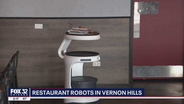 'Illinois restaurant uses robot to serve food'