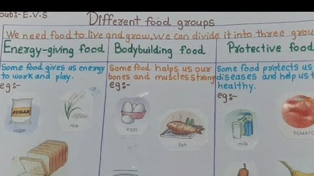 'food groups project||घरCool||food chart|| food'