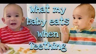 'What My Baby Eats When Teething | 9 months old Baby Led Weaning & Traditional | Food for Teething'